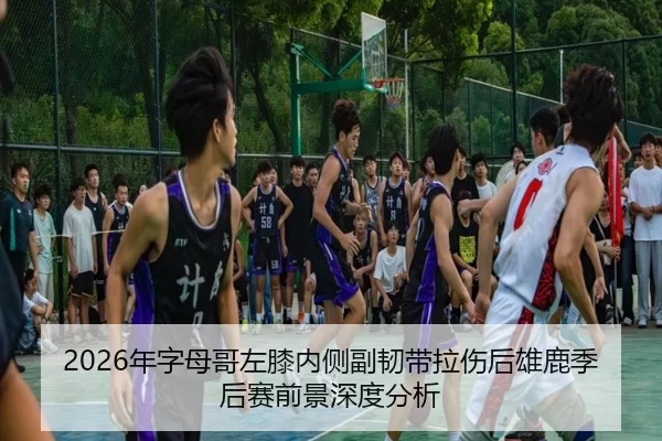 2026年字母哥左膝内侧副韧带拉伤后雄鹿季后赛前景深度分析